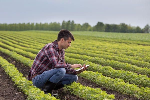 Curso de Agropecuária: Gestão Eficiente e Sustentável